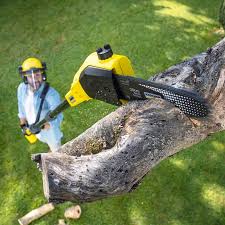 Best Lawn Mowing Services  in Bratenahl, OH